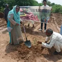 Green Seekers Activity